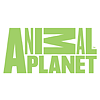 Animal Planet 